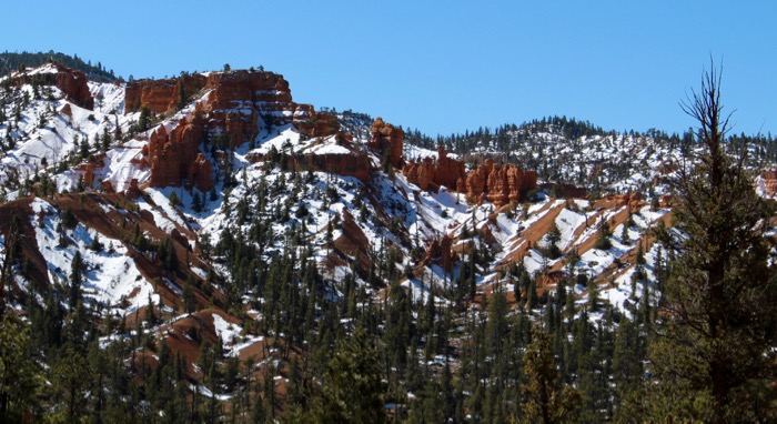 red canyon dixie nf