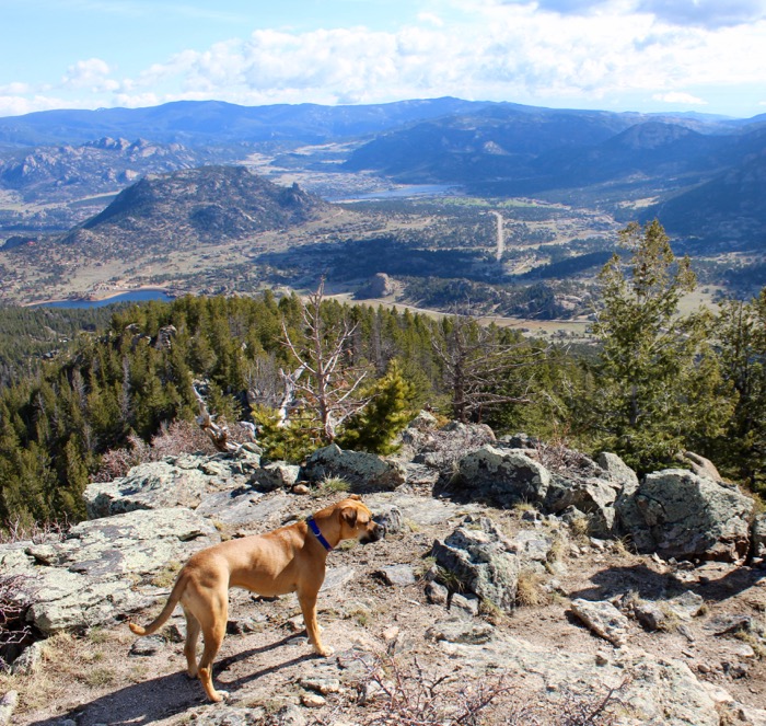 lily mountain hike estes park