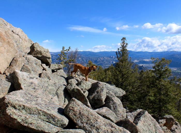 lily mountain hike estes park