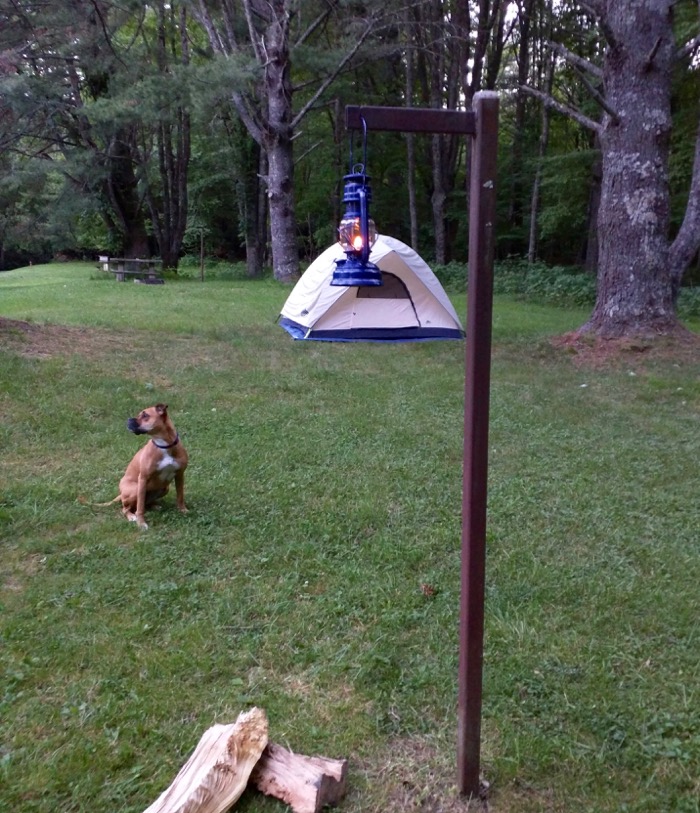 dog and tent and lantern at julian price campground