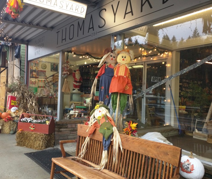 thomasyard shop thomas wv