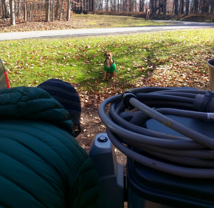 dog and airstream canaan valley resort state park