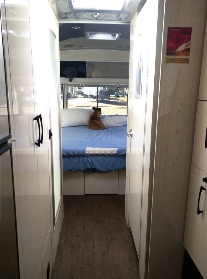 bugsy in the airstream