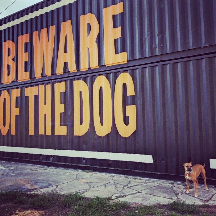 beware of the dog sign 