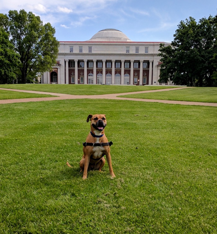 Bugsy at Vanderbilt