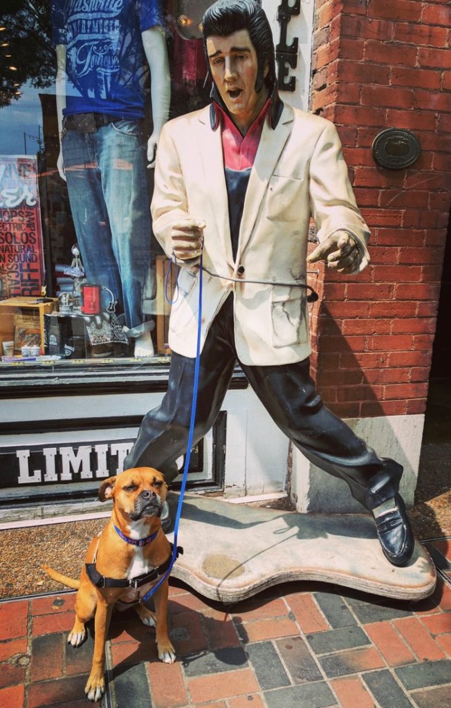 Bugsy and Elvis in Nashville