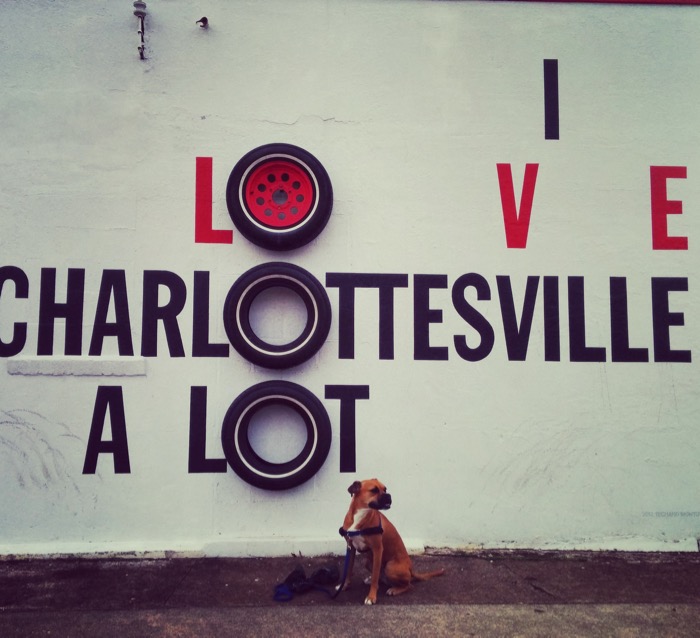 bugsy loves charlottesville