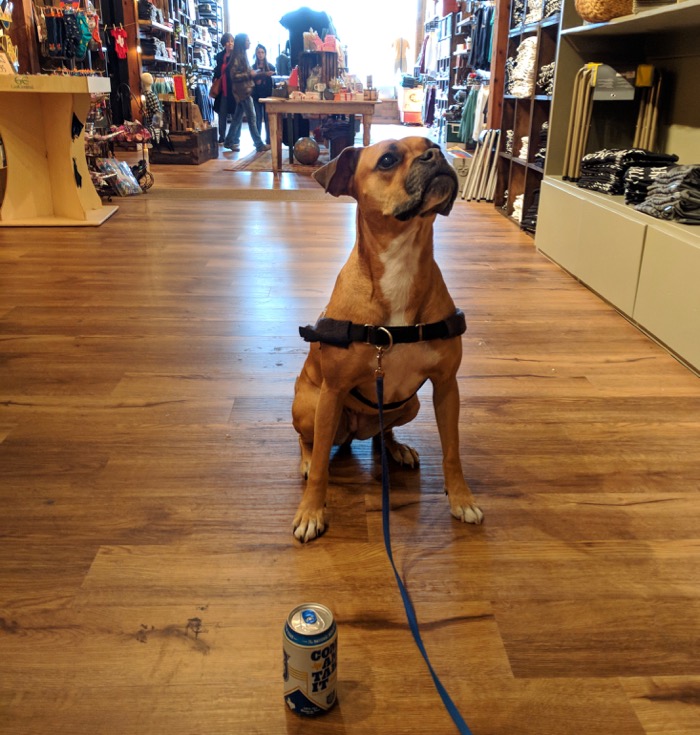 dog friendly shopping in fredericksburg