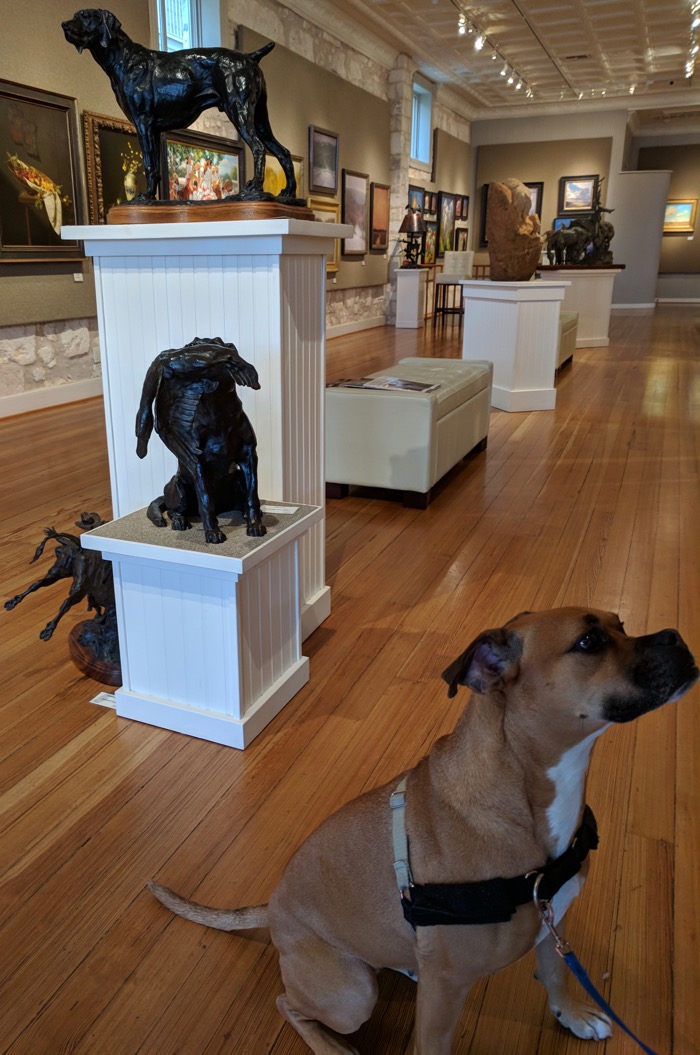 dog friendly art gallery in fredericksburg