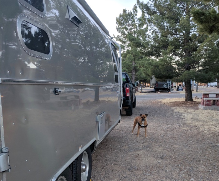 Bugsy and the Airstream at Lost Alaskans
