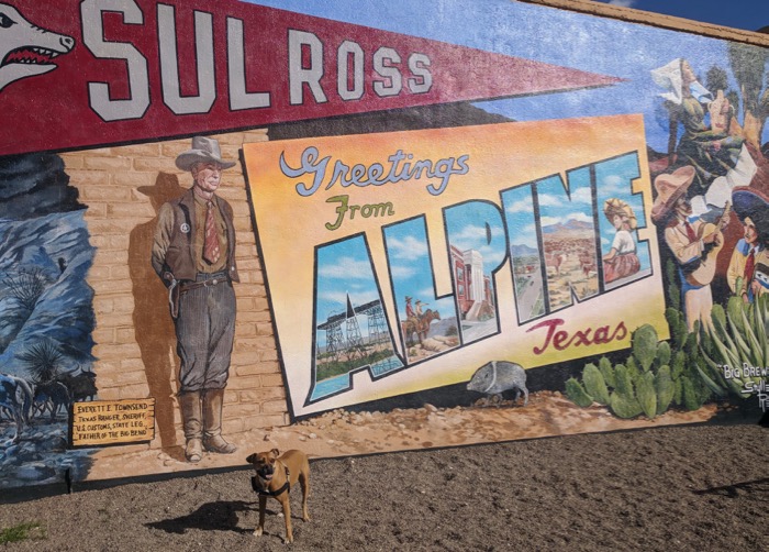 Bugsy and a mural in Alpine