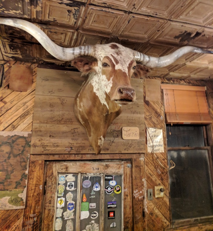 bull on wall at Meers Store