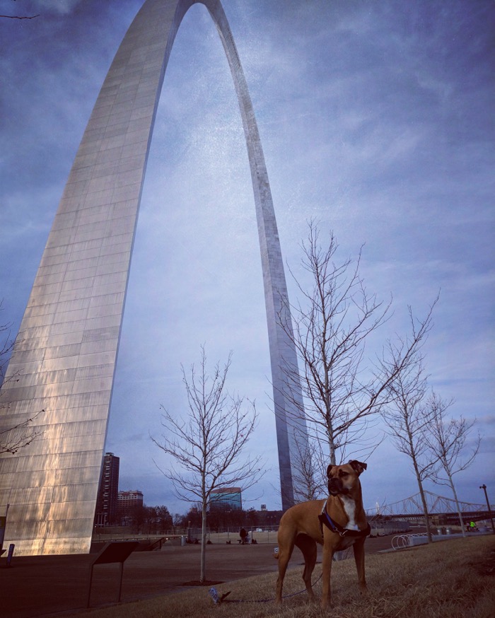 Bugsy and the St Louis Arch