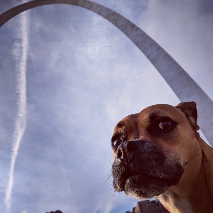 Bugsy under the arch