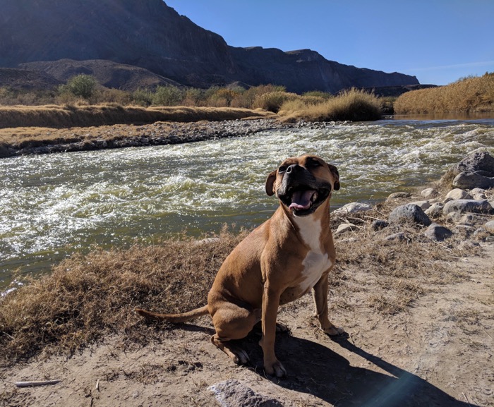 Bugsy and the Rio Grande