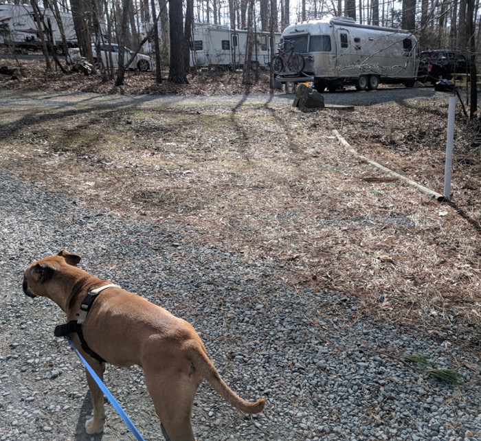 walking the dog by the airstream at Spring Hill Park in Chapel Hill