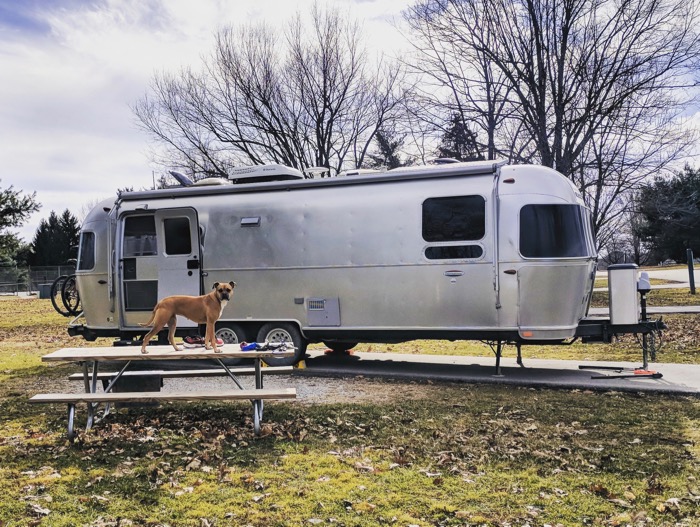 bugsy and the airstream at kentucky horse park campground