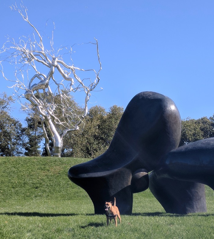 nelson-atkins museum sculpture garden