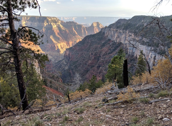 Uncle Jim Trail Grand Canyon