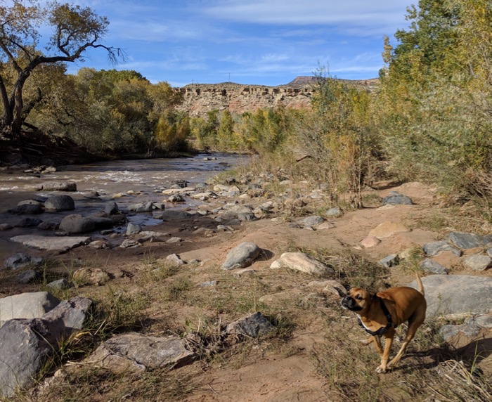 Bugsy by the Virgin River
