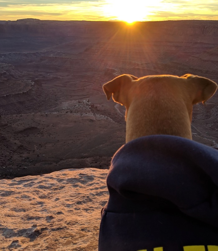bugsy at sunset on the west rim, dead horse point