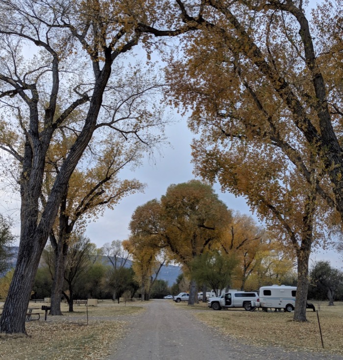 Cottonwood Campground in Big Bend