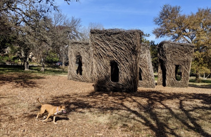 Bugsy in Austin