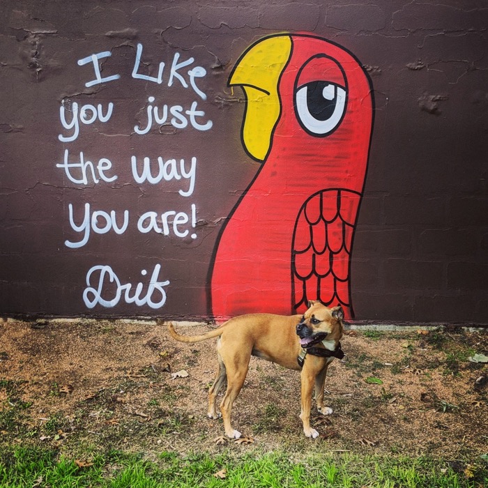 I like you just the way you are mural in Austin