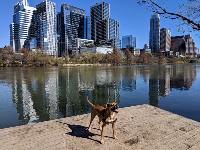 Bugsy in downtown Austin