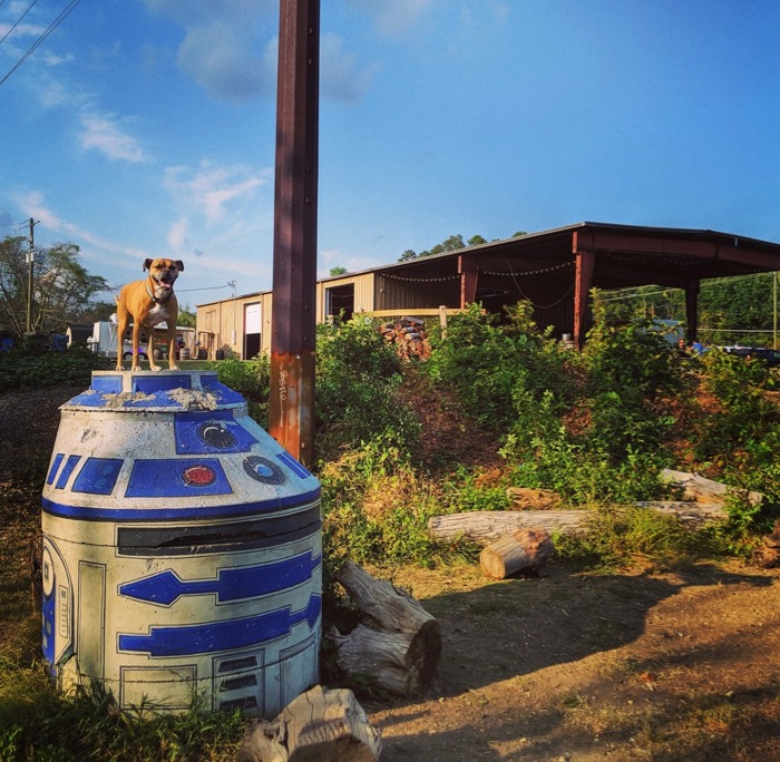 Bugsy and R2-D2 at Zillacoah Beer Co