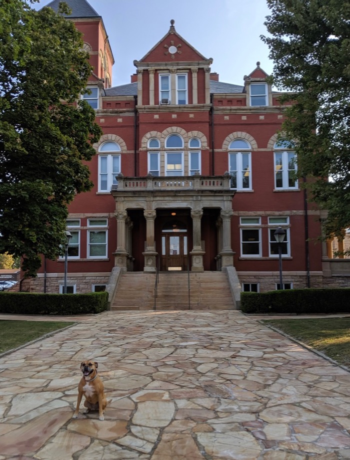 Bugsy in front of the Fayette County Courthouse