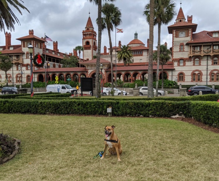 bugsy in front of flagler college
