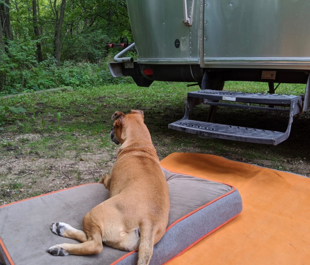 Bugsy at the airstream in New Ulm