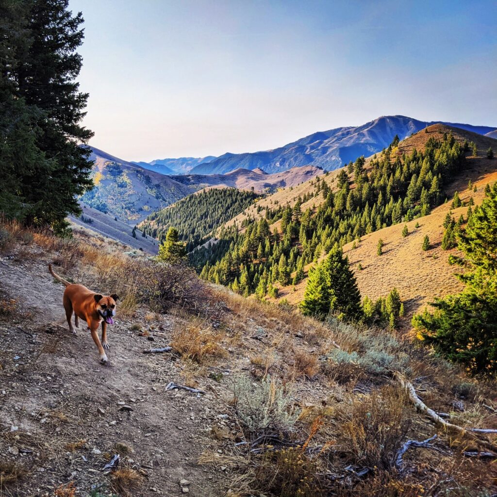 Hiking in Ketchum, ID