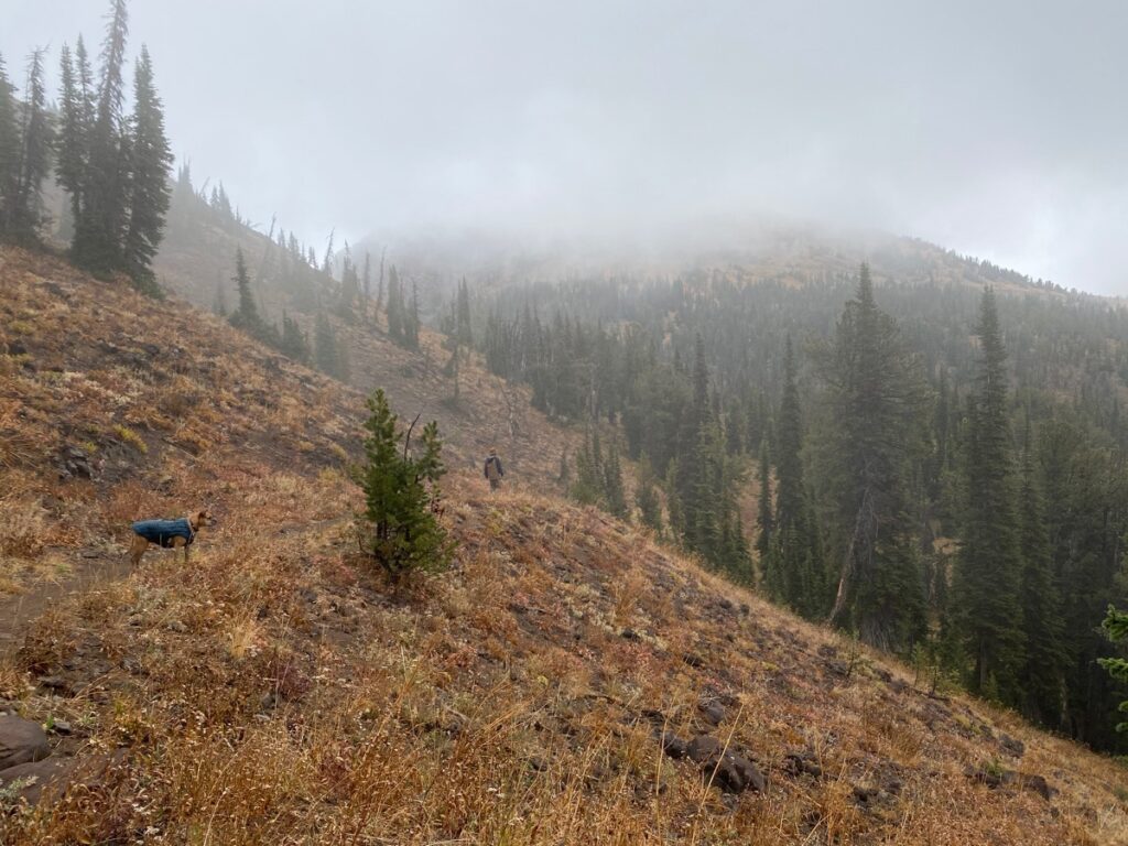 Bugsy hiking in the fog in Caribou-Targhee National Forest