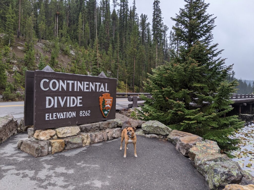 Bugsy at the Continental Divide