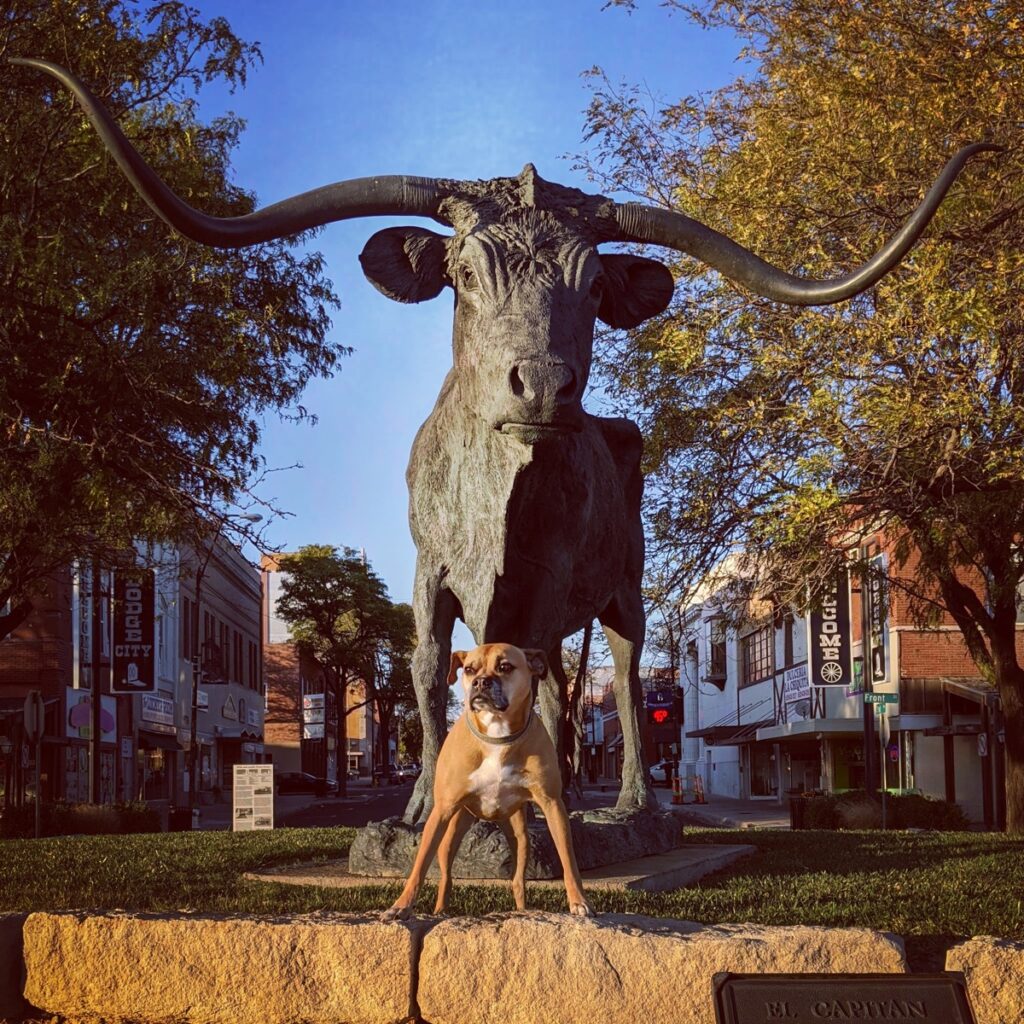 Bugsy and a bull statue in Dodge City