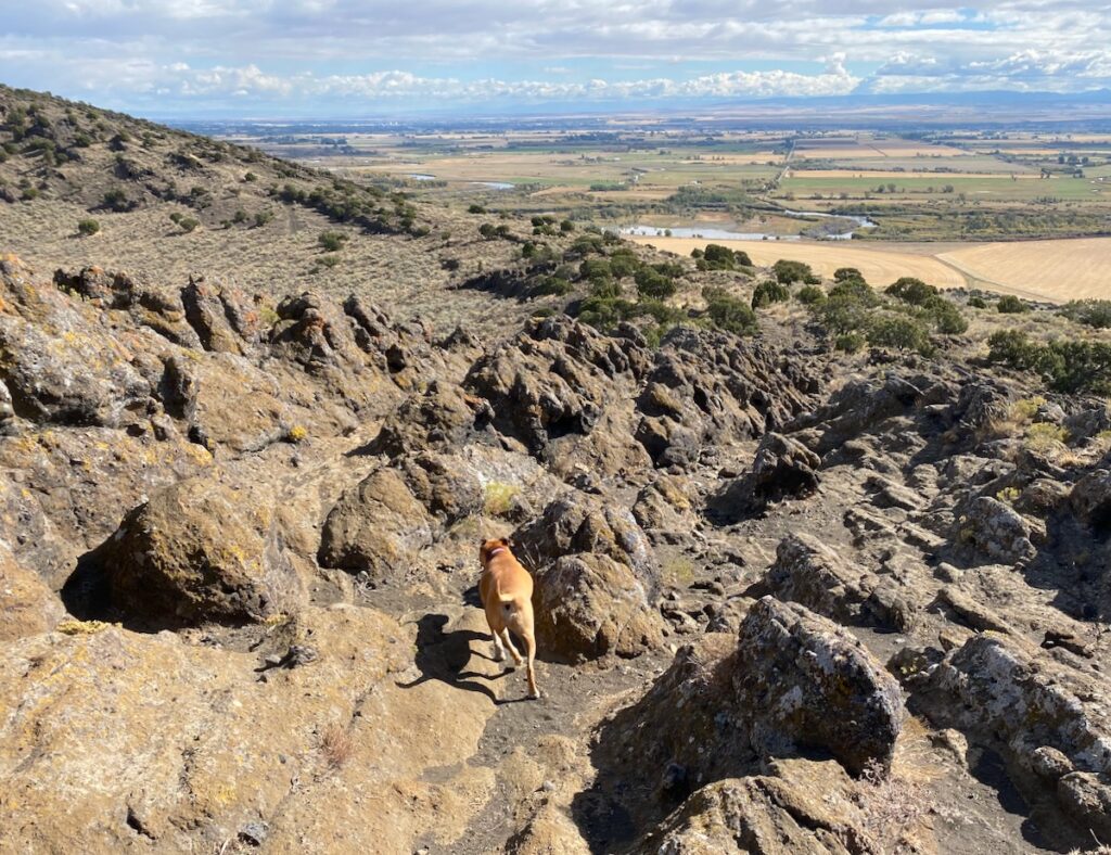 Two nights in Idaho Falls, ID–Big Trip #3 – AirstreamDog