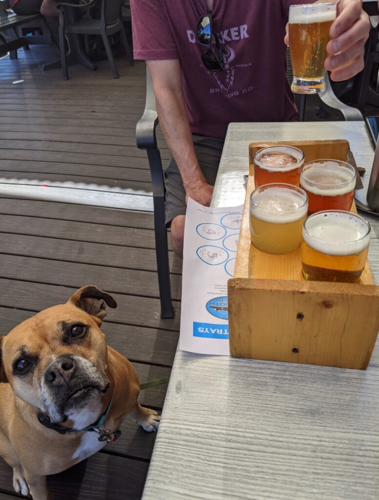 Bugsy and a beer flight at Sawtooth Brewery