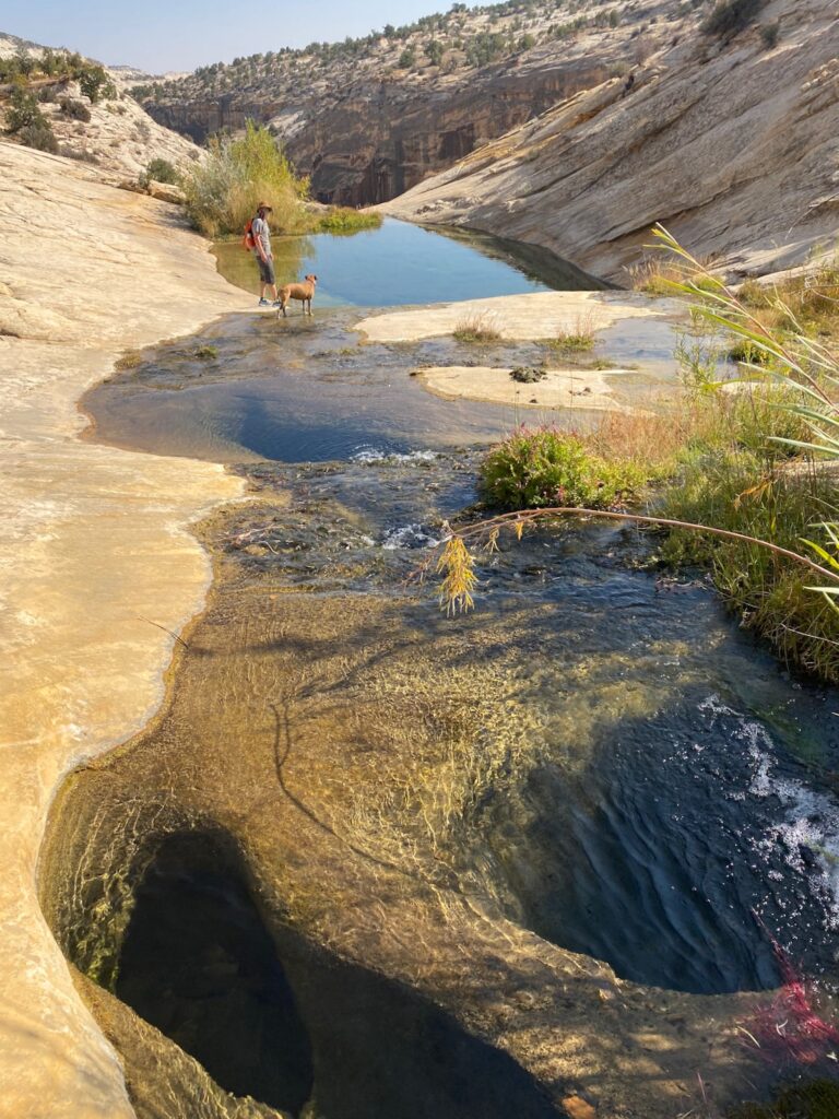 Upper Calf Creek swimming holes