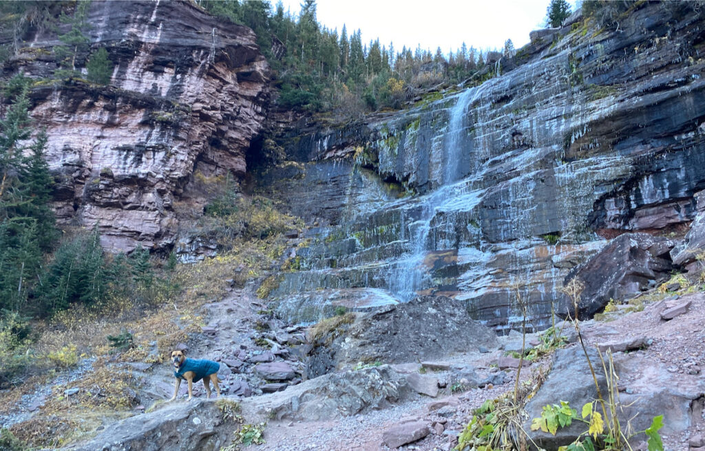 Bugsy at Bear Creek Falls