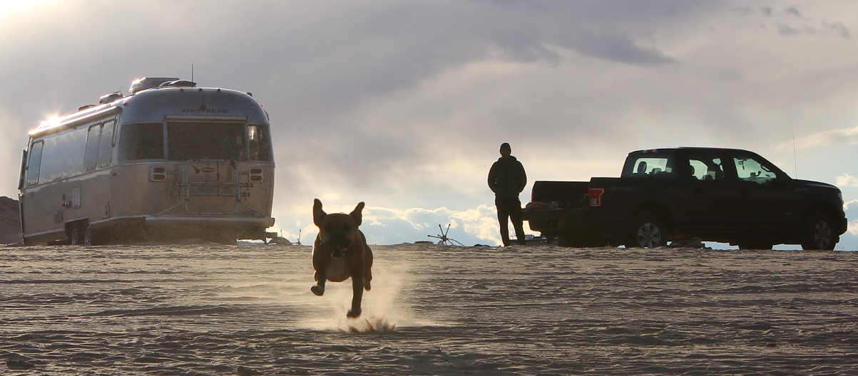 bugsy running on lone rock beach with the airstream and f-150 in the background