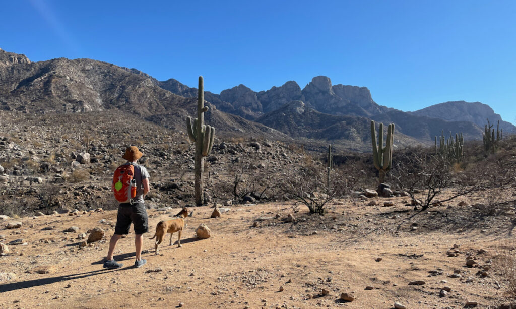 Bugsy hiking the Birding Trail in the Catalina Mountains
