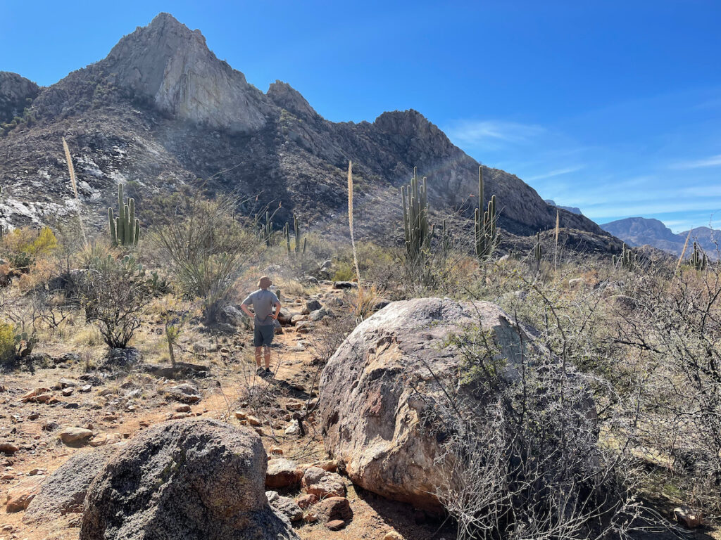 hiking Canyon Loop in Catalina Mountains