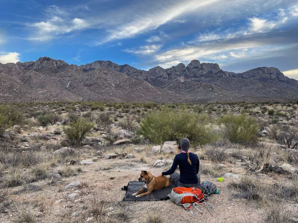 a sunset picnic on the Nature Trail in Catalina Mountains State Park