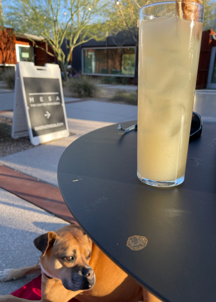 Bugsy having a cocktail at the MSA Annex