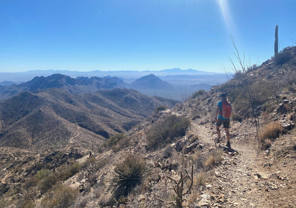hiking the Sweetwater Trail to Wasson Peak