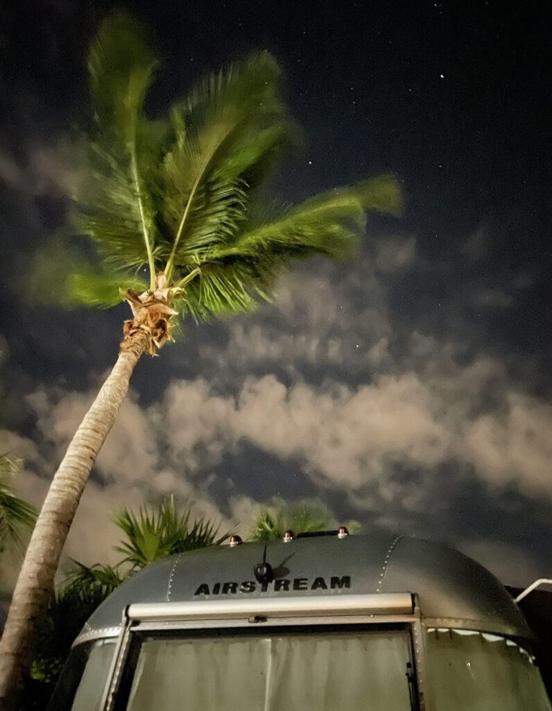 the Airstream and a palm tree at night