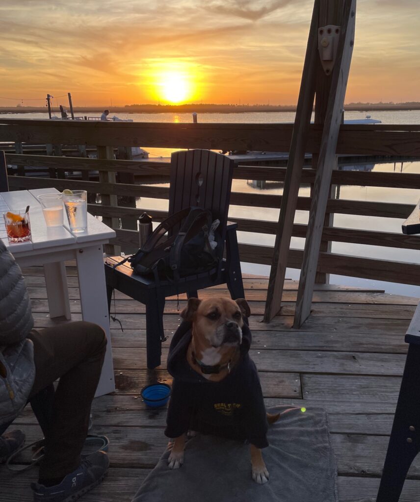Bugsy at sunset at the Wharf