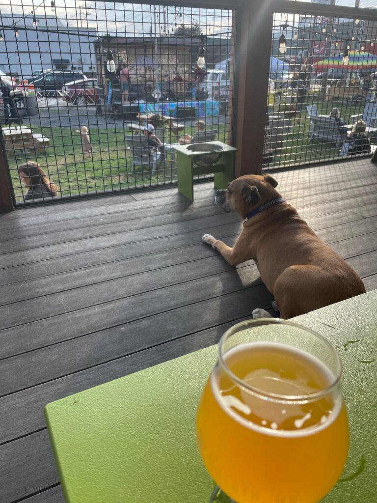 beer on the deck at Bent Paddle